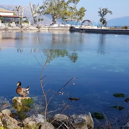 Lägenhet K For Kefalonia