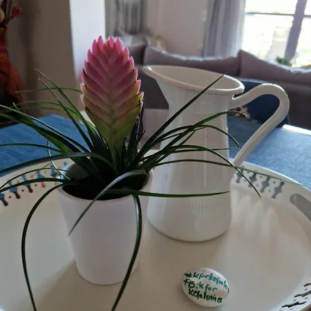 K For Kefalonia Διαμέρισμα