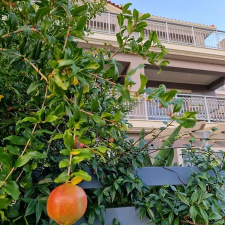 Apartamento K For Kefalonia *